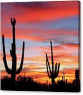 A Sonoran Desert Sunset Canvas Print