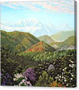 A View For All Seasons Canvas Print