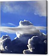 A Wisp Of Lenticular Asking For Trouble Canvas Print
