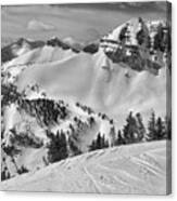 Above Rendezvous Bowl Black And White Canvas Print