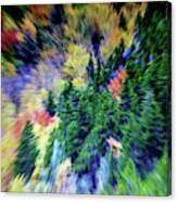 Abstract Forest Photography 5501d1 Canvas Print
