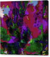 Abstract In Purple And Green - Dwp6004971 Canvas Print