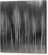 Abstract Of Birch At The Edge Of The Marsh 2018-2 Canvas Print