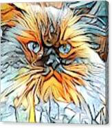 Abstract Orange Himmy Cat Canvas Print