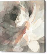 Abstract Peony Crop Canvas Print