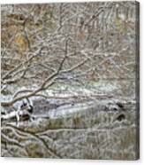 Abstract Snow Covered Trees Canvas Print