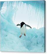 Adelie Penguin On Iceberg Canvas Print