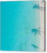 Aerial Paradise Scenery. Tropical Canvas Print