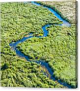 Aerial View Of A Small Stream And Lush Canvas Print