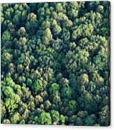 Aerial View Of  Forest Canvas Print