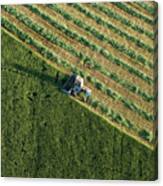 Aerial View Of Harvest Fields Canvas Print