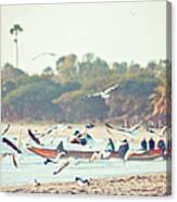 African Fishing Boat And Seabirds Canvas Print
