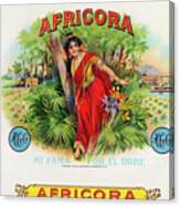 Africora Canvas Print