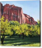 Afternoon In The Orchard Canvas Print
