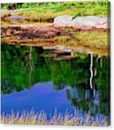 Afternoon Reflection Canvas Print