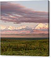 Alaska Range With Mt Brooks Canvas Print