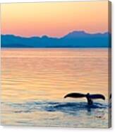 Alaska Whale Tail Sunset Canvas Print