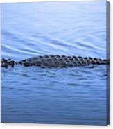 Alligator Creek Canvas Print