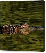 Alligator Canvas Print