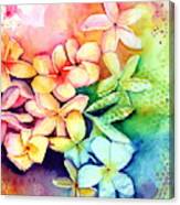 Aloha Plumeria Blossoms Canvas Print
