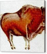Altamira Prehistoric Bison Canvas Print