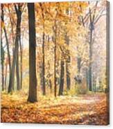 Amazing Nature Panorama Of A Gorgeous Canvas Print