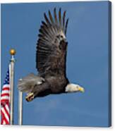 American Bald Eagle With Flag Canvas Print