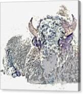 American Bison In Winter Landscape 2 Watercolor By Ahmet Asar Canvas Print