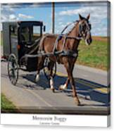 Amish Buggy Canvas Print