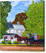 Amish Carriage Canvas Print