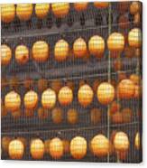 An Image Of Dried Persimmon Canvas Print