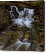 An Unkown Creek In The Feather River Canyon Canvas Print
