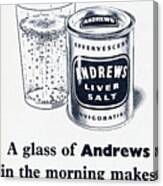 Andrews Liver Salt Canvas Print