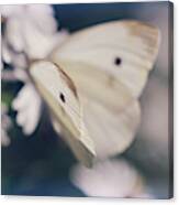 Angelic Canvas Print