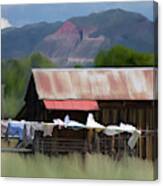Animas Valley Summer Canvas Print