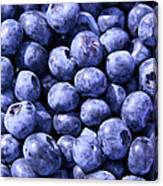 Anyone For Blueberries Canvas Print