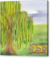 Arava Willow Suk8 Canvas Print