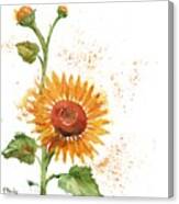 Arianna Sunflowers I - White Canvas Print