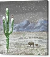 Arizona Blizzard Canvas Print