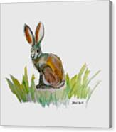 Arogs Rabbit Canvas Print