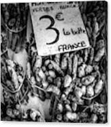 Asparagus At The French Market Canvas Print