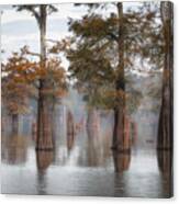 Atchafalaya Basin Canvas Print