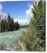 Athabasca River 3 Canvas Print