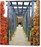 Autumn Arbor Canvas Print