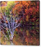 Autumn At Alum Creek Canvas Print