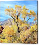 Autumn At Red Rock Canvas Print
