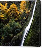 Autumn At Starvation Creek Falls Canvas Print