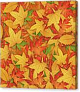 Autumn Background Canvas Print