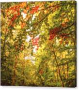 Autumn Colorful Path Canvas Print