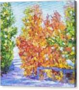 Autumn Colors Canvas Print